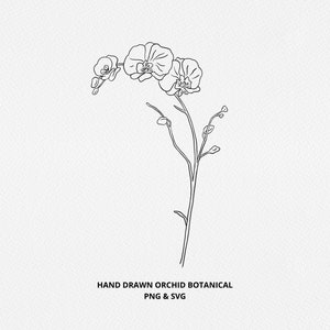 Orchid SVG, hand drawn botanical, orchid line art, black and white, commercial use, digi stamp, laser, glowforge, wedding, logo design