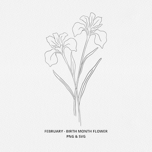 Février Birth Month Flower SVG - Fleur d’anniversaire PNG, Dessin à la main Iris Flower graphic, cricut, Hand drawn botanical, digi stamp,