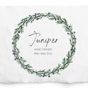 May include: A watercolor illustration of a juniper wreath with blue berries. The wreath is on a white background with the text "Juniper" in black cursive and the words "Hand Drawn PNG and SVG" in black below.