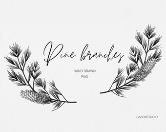 Pine Cone Branches PNG, Botanical Hand Drawn Winter Elements, Holiday Foliage, Commercial Free, Christmas Graphic, Vintage Christmas Clipart