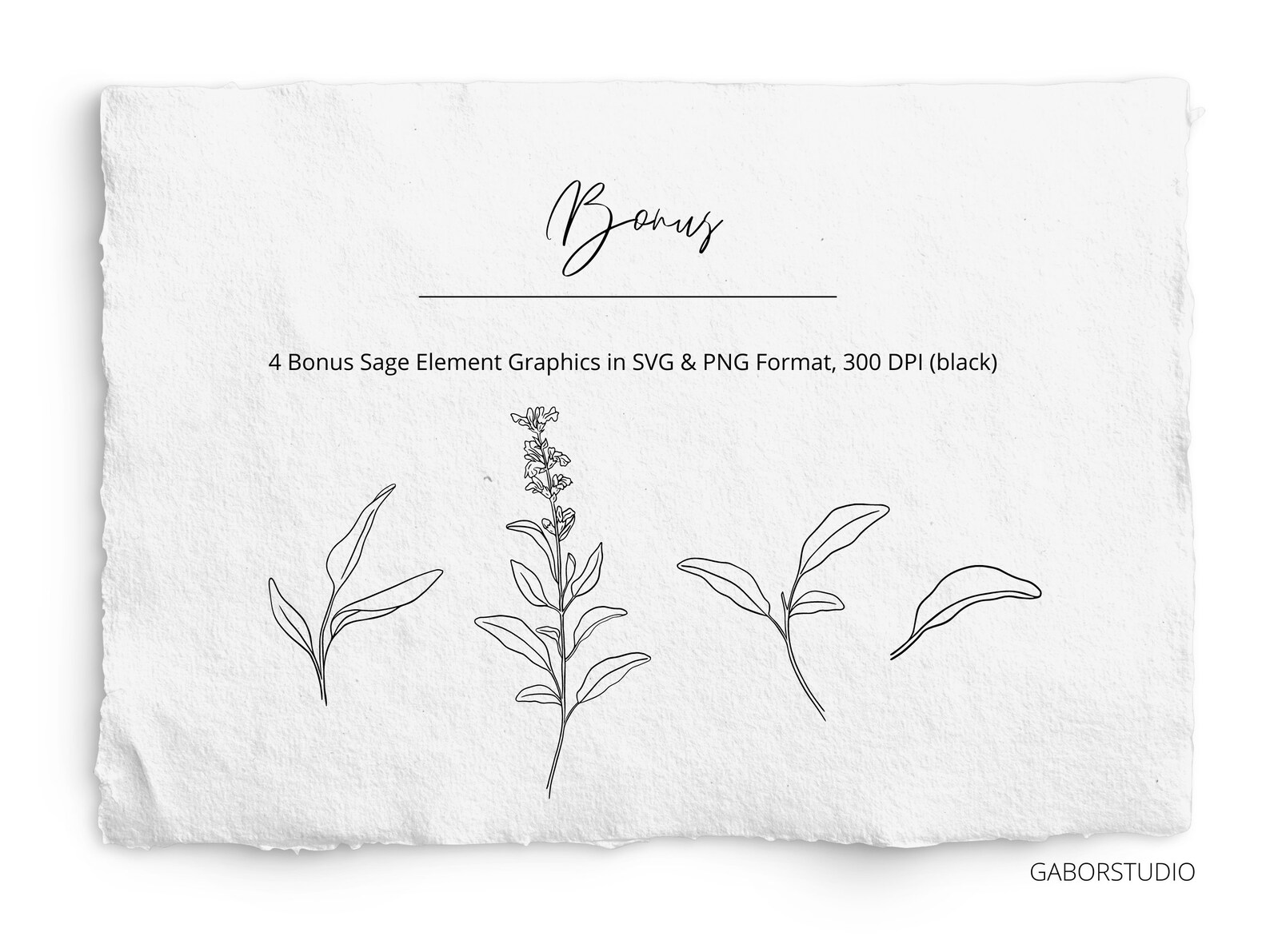 Herb Bundle SVG and PNG Hand Drawn Mint Rosemary Sage Etsy