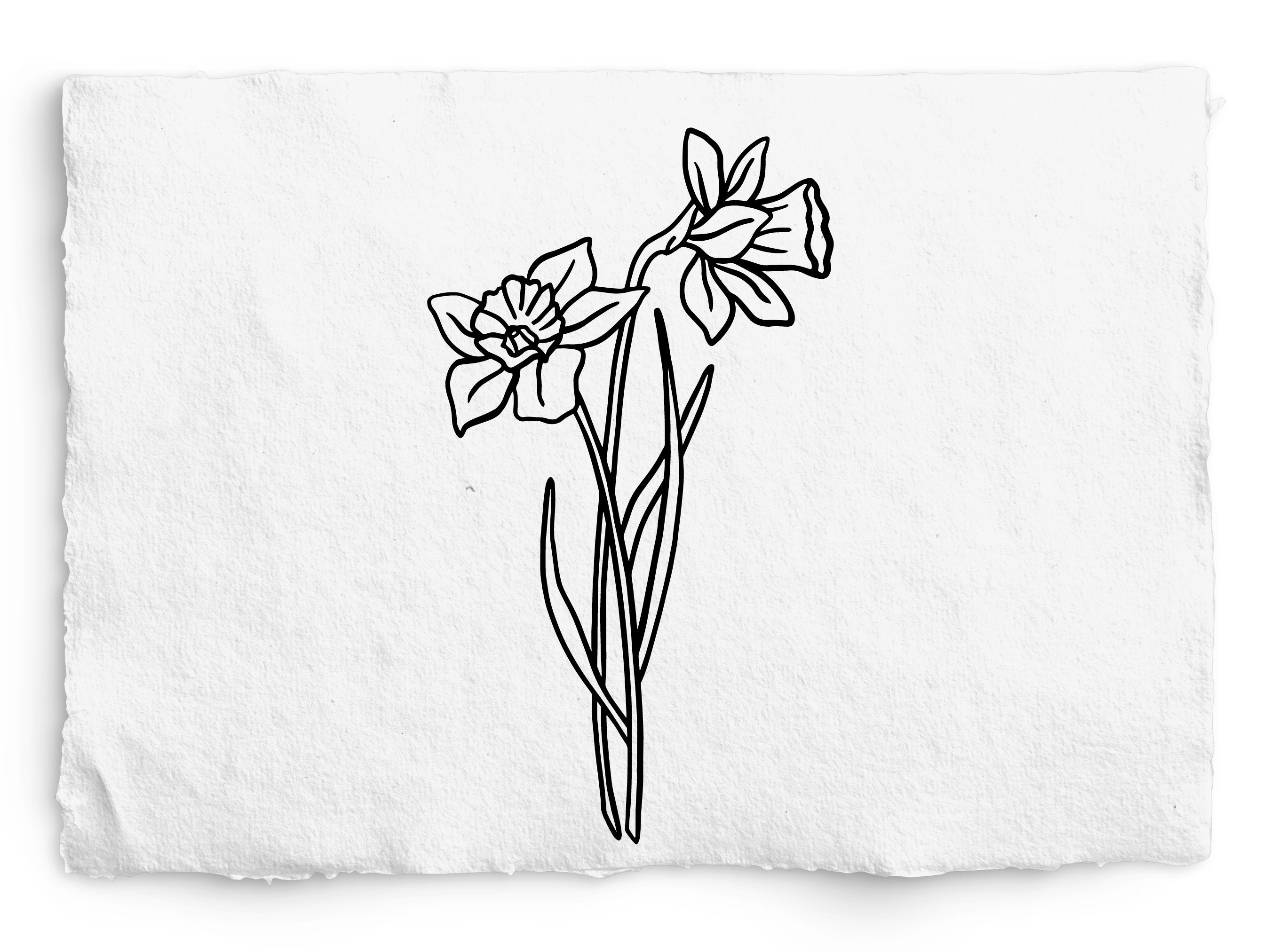 Daffodil SVG Cut File Cricut Cut File Vinyl Cut Stencil - Etsy