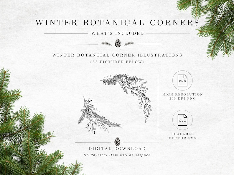 May include: Digital download of Winter Botanical Corners featuring black line art illustrations of pine branches and needles. Includes high resolution 300 DPI PNG and scalable vector SVG file formats for winter-themed graphic design projects.