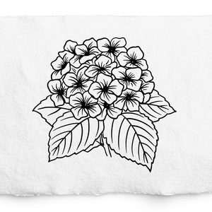 Hydrangea SVG, Hydrangea PNG Digi Stamp, Vintage Botanical Line Art, Clip Art, sublimation, Logo Design, Engraving