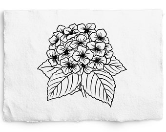 Hydrangea SVG, Hydrangea PNG Digi Stamp, Vintage Botanical Line Art, Clip Art, sublimation, Logo Design, Engraving