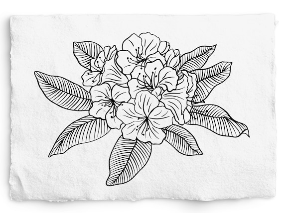 Rhododendron SVG, PNG Digi Stamp, Vintage Botanical Line Art, Clip Art,  Sublimation, Logo Design, Engraving, Cricut Draw and Foil - Etsy