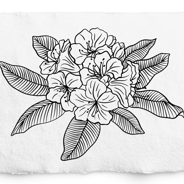 Rhododendron SVG, PNG Digi Stamp, Vintage Botanical Line Art, Clip Art, sublimation, Logo Design, Engraving, Cricut Draw and Foil