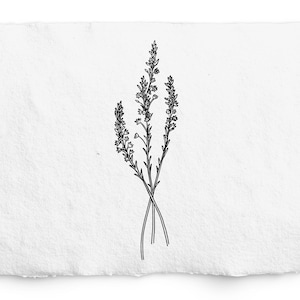 Heather SVG, Heather Flower PNG Digi Stamp, Vintage Botanische Line Art, Clip Art, sublimatie, Logo Design, Graveren, Heather Tattoo Design