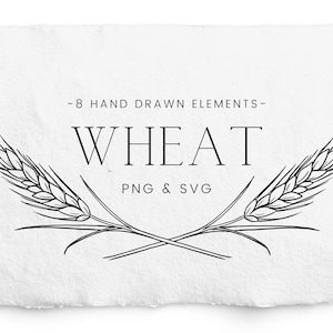 Tarwebundel SVG, 8 afzonderlijke tarwe-elementen, oogsttarwe PNG, Thanksgiving, logo labelontwerp, handgetekende lijst, commercieel gratis