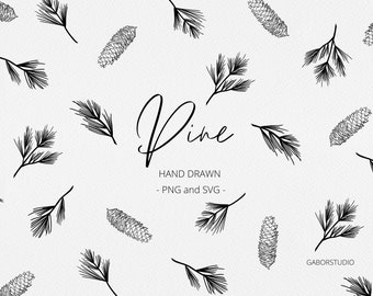 Pine Cone Elements SVG and PNG, Botanical Hand Drawn Winter Elements, Holiday Foliage, Commercial Free Graphics, Vintage Winter Clipart