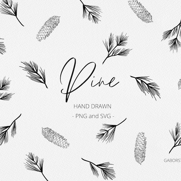 Pine Cone Elements SVG and PNG, Botanical Hand Drawn Winter Elements, Holiday Foliage, Commercial Free Graphics, Vintage Winter Clipart