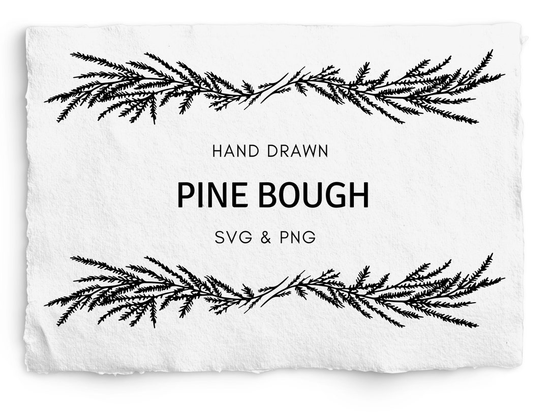 Pine Bough Border SVG Botanical Hand Drawn PNG (Download Now) Etsy