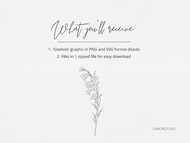 Op de afbeelding: Een zwart-witte lijntekening van een gladioolbloem. De tekst "What you'll receive" staat bovenaan de afbeelding. De tekst "1- 'Gladiola' graphic in PNG and SVG format (black)" staat onder de bloem. De tekst "2 Files in 1 zipped file for easy download" staat onder de eerste regel tekst. De tekst "GABORSTUDIO" staat rechtsonder in de afbeelding.