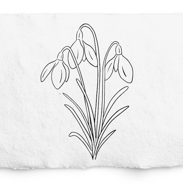 January Snowdrop Birth Month Flower SVG - Birthday Flower PNG, Hand Drawn Snowdrop Flower graphic, Cricut, Glowforge, Digi Stamp, Tattoo