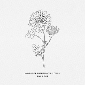 Flor do mês de nascimento de novembro SVG - flor de aniversário PNG, gráfico de flor de crisântemo desenhado à mão, botânico desenhado à mão, carimbo Digi, tatuagem