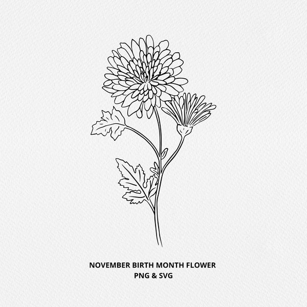 November Birth Month Flower SVG - Birthday Flower PNG, Hand Drawn Chrysanthemum Flower Graphic, Hand Drawn Botanical, Digi Stamp, Tattoo