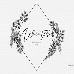 Cornice botanica in pino invernale e uccello, grafica PNG cornice natalizia, cornice invernale disegnata a mano, commercial free, clipart natalizia vintage