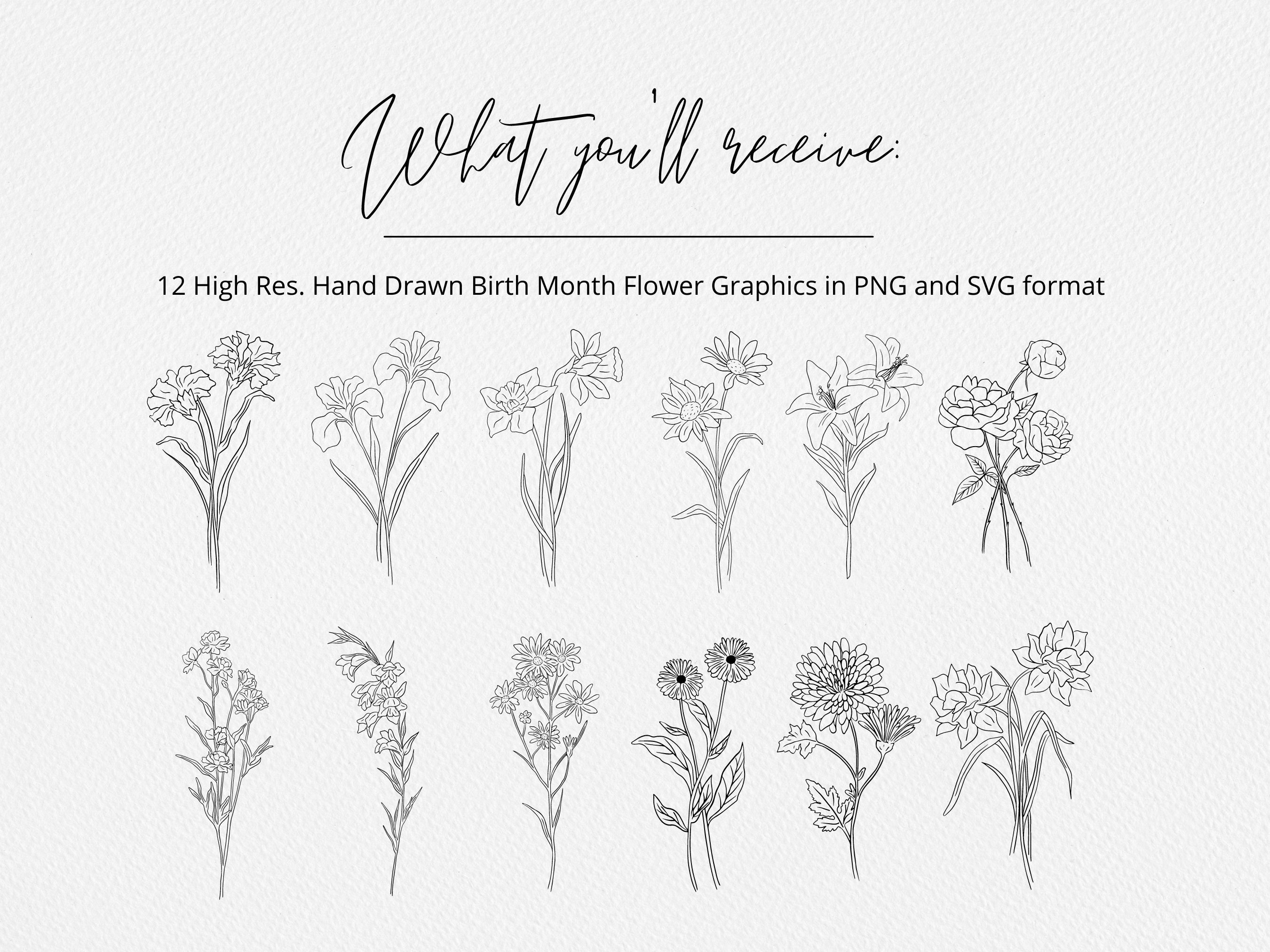 Birth Month Flower Bundle SVG and PNG Birthday Flower Hand - Etsy Canada