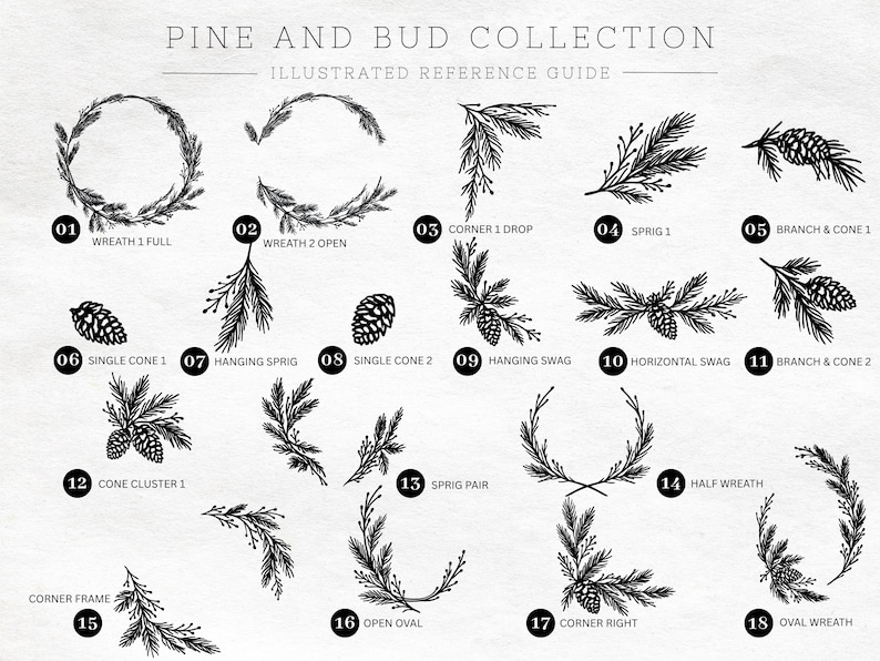 Fancy Hand Reference Pine Bundle SVG, Pinecone SVG, Hand Drawn Christmas Botanical Clipart ...