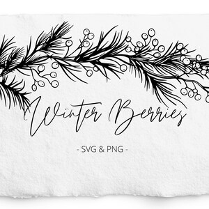 Op de afbeelding: Zwart-witte lijntekening van een winterbessen tak met de tekst "Winter Berries - SVG & PNG -" eronder.