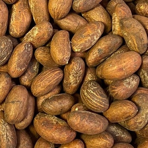 Può includere: Primo piano di un mucchio di noci di cola marroni. Le noci hanno una forma ovale con una superficie strutturata, che mostra una miscela di tonalità marrone chiaro e scuro. L'immagine mette in risalto i modelli naturali e i dettagli delle noci.