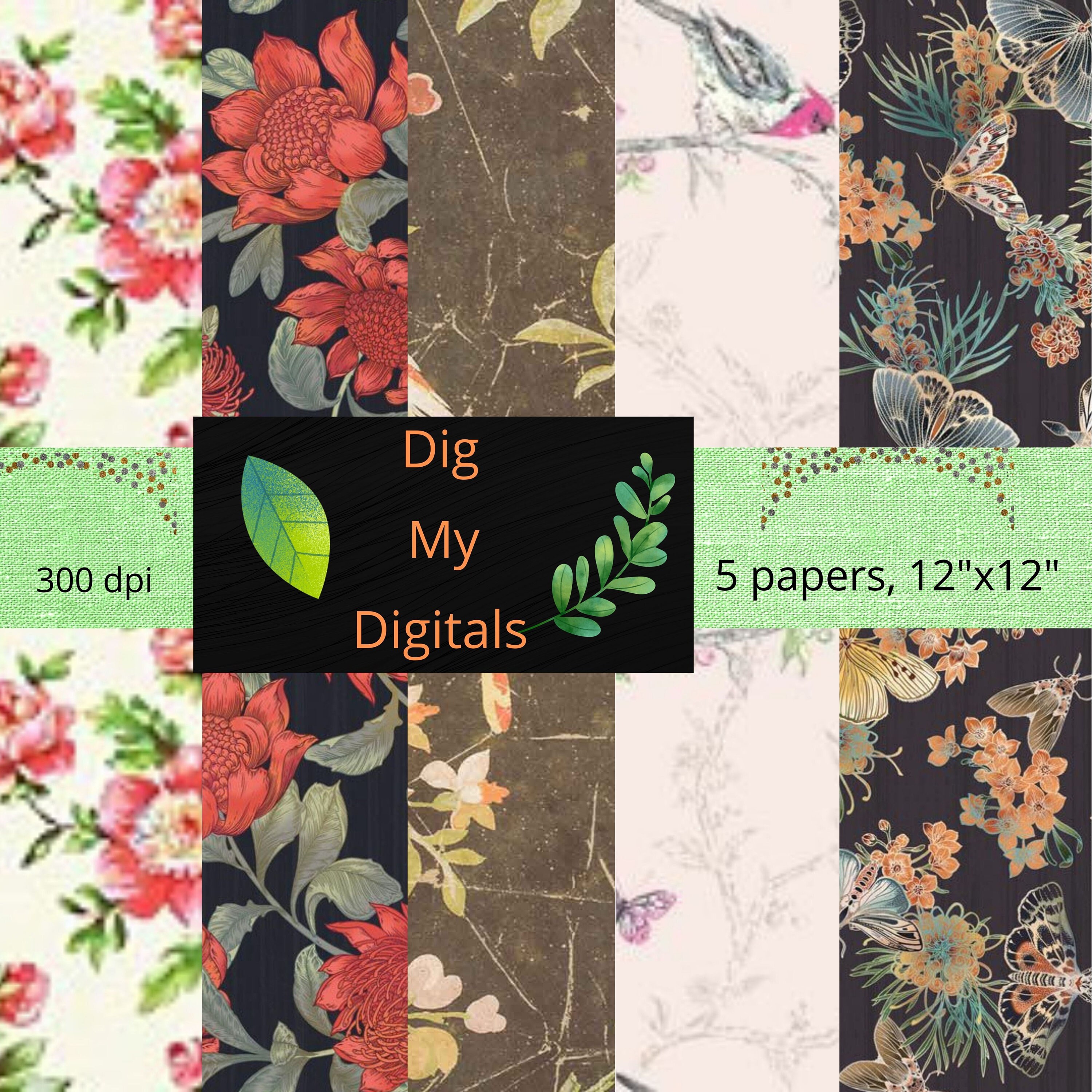 Paper & Party Supplies 12x12 300 DPI Frames Banners Digital Paper ...