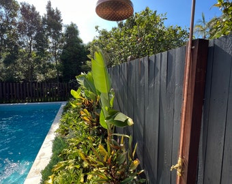 Outdoor cold shower “bottlebrush”