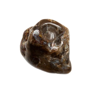Petrified Wood Tumbled Stone(0.75-1&quot;)|Petrified Wood Crystal|Polished Petrified Wood|Petrified Wood|Healing Crystals|Brown Crystals|Fossil|