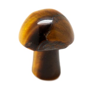 Tiger’s Eye Tiny Mushroom-15-20mm|Tiger&#39;s Eye Mushroom|Tiger&#39;s Eye Crystal|Healing Crystals|Natural Tiger&#39;s Eye|Crystal Mushroom|Crystal