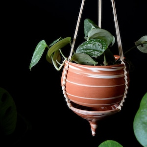 Könnte beinhalten: Ein hängender Keramik-Pflanztopf mit terrakottafarbenem und weiß gestreiftem Design, aufgehängt an einer Makramee-Schnur. Der Topf enthält eine grüne Blattpflanze mit silbernen Markierungen, vor schwarzem Hintergrund.