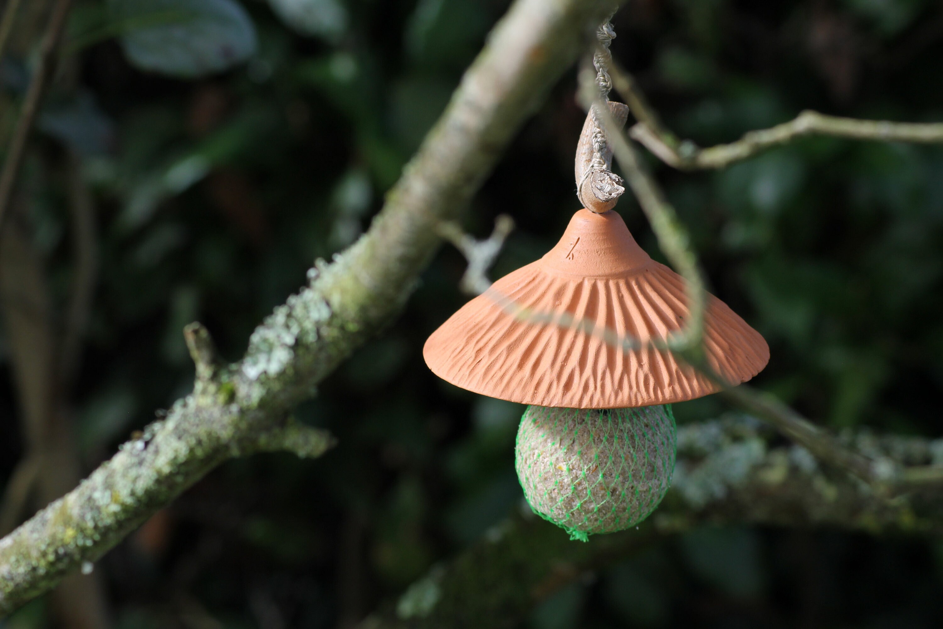 Support Pour Boules de Graisse Oiseaux