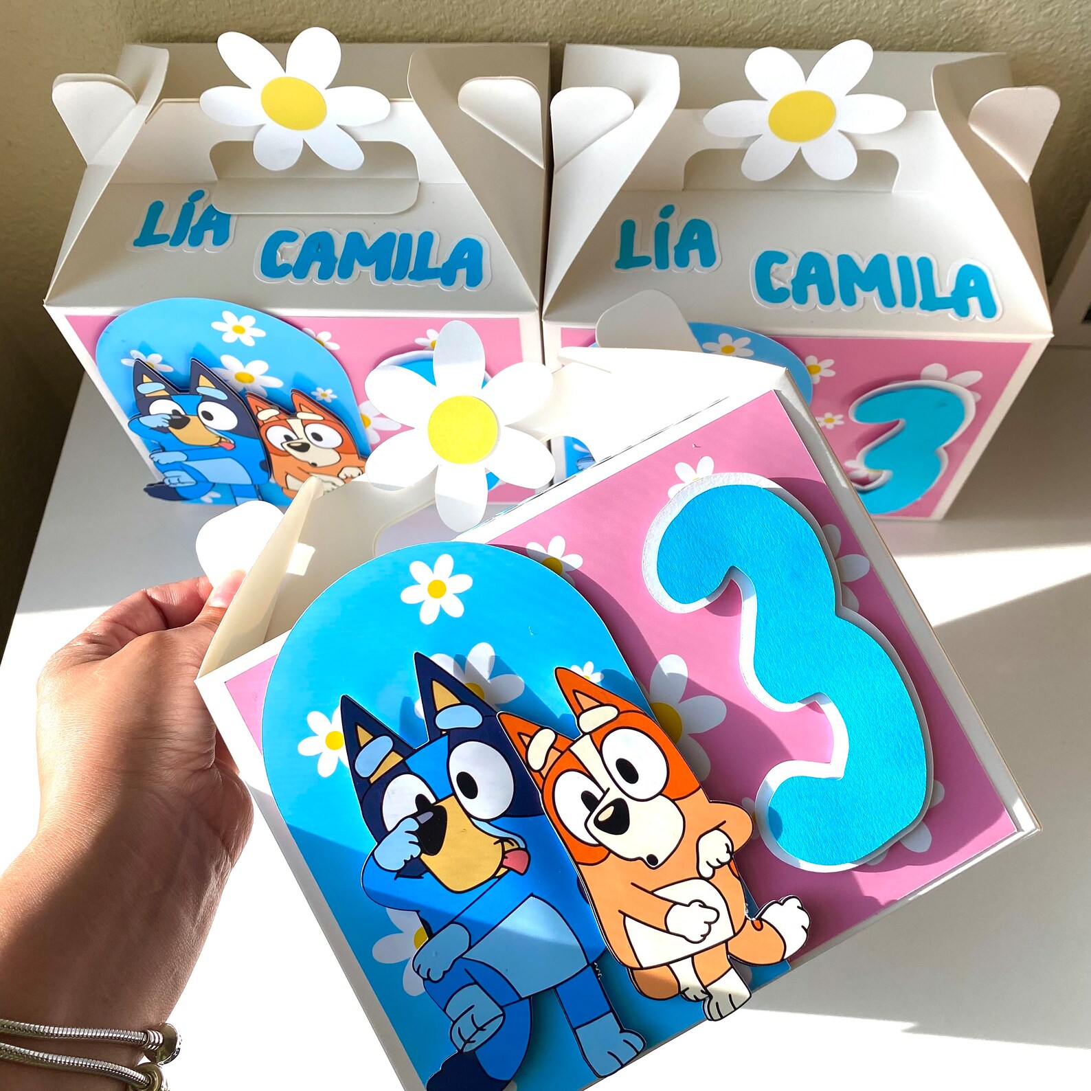 Cardstock Favor Boxes