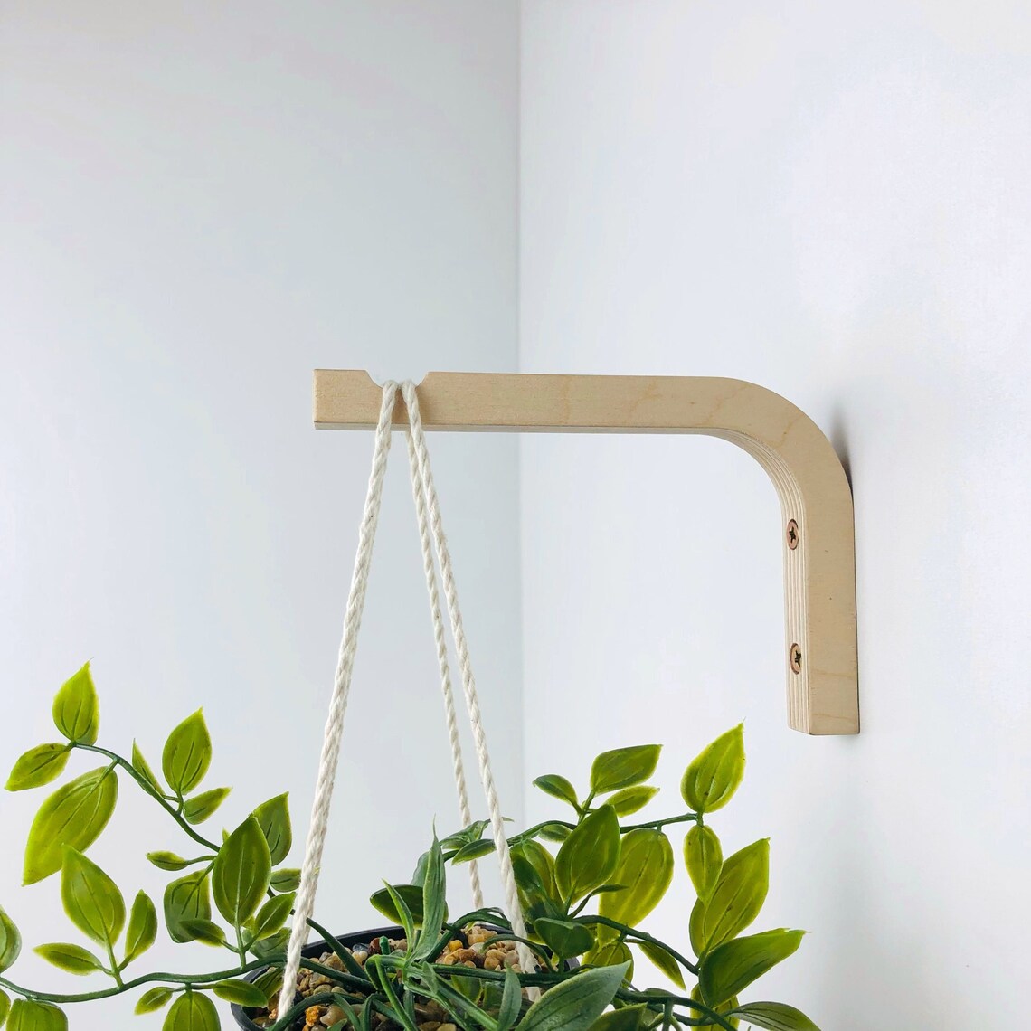 Wood Wall Plant Hook Indoor Plant Hanger Hook Hanging Plant Etsy Canada