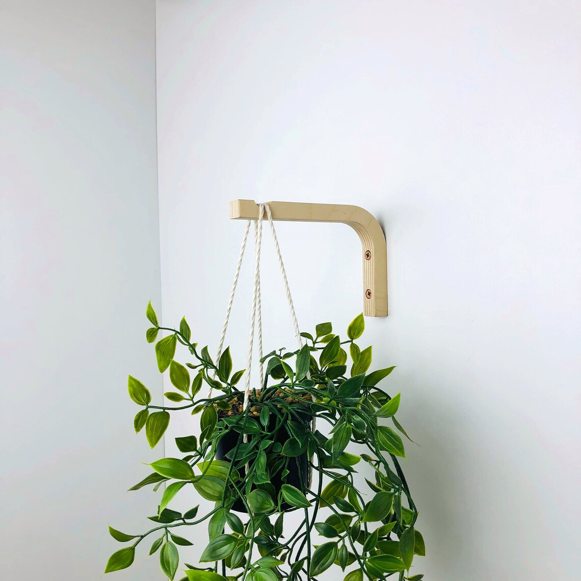 Wood Wall Plant Hook Indoor Plant Hanger Hook Hanging Plant Etsy Canada