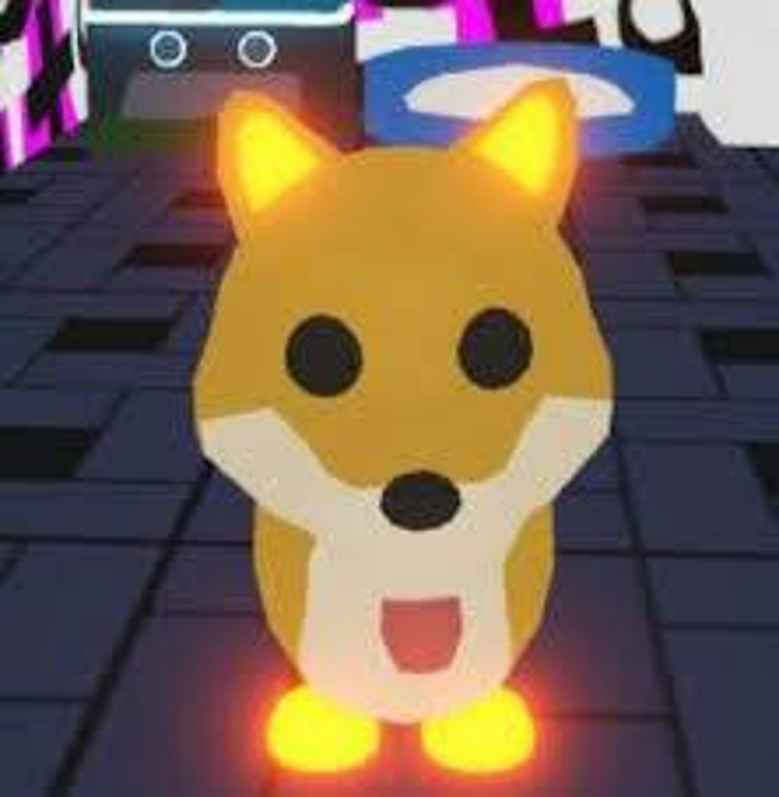 Mega neon fly ride shiba inu pet in game digital items Etsy