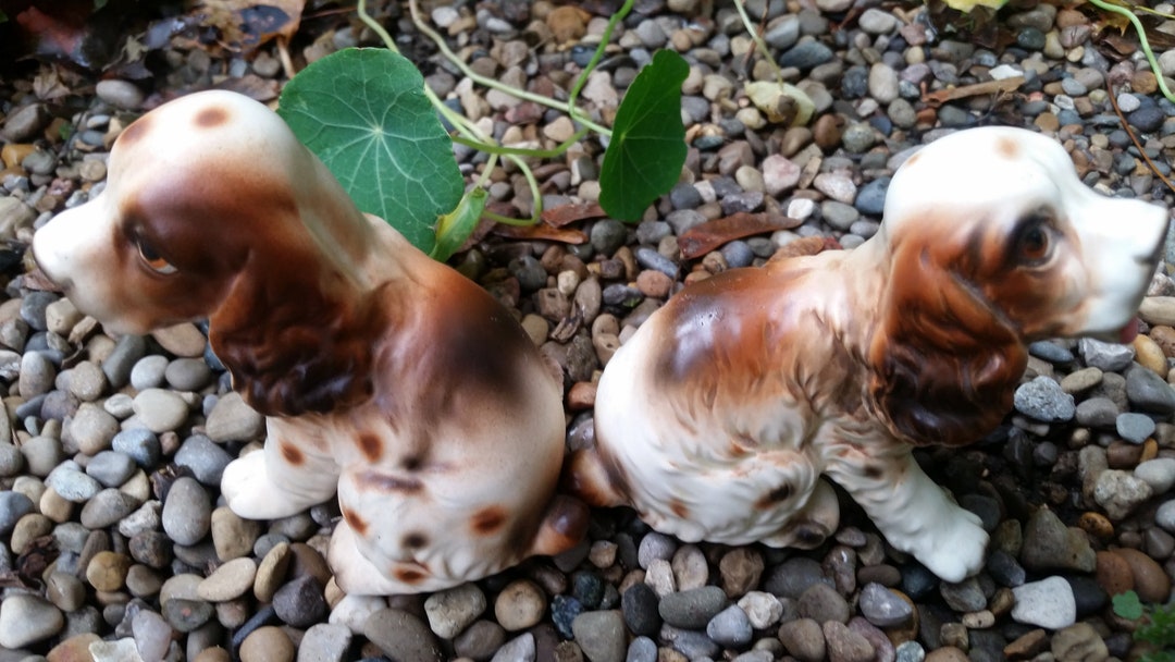 Vintage Dog Figurine Set of 2 Ceramic Cocker Spaniel Knick Etsy