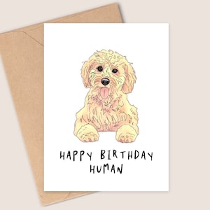 Cute Cockapoo Birthday Card - Happy Birthday Human - Shaggy Cartoon Style Illustration - Handmade - A6 - Recyclable