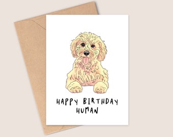 Linda tarjeta de cumpleaños cockapoo - Feliz cumpleaños humano - Ilustración estilo dibujos animados peludos - Hecho a mano - A6 - Reciclable