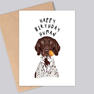 Sweet German Shorthaired Pointer Birthday Card - Happy Birthday Human - Handmade - A6 - Recyclable - Matt Finish