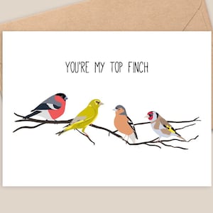 You’re My Top Finch - Cartão de felicitações engraçado - Design colorido de pássaros britânicos - Feito à mão - A6 - Reciclável