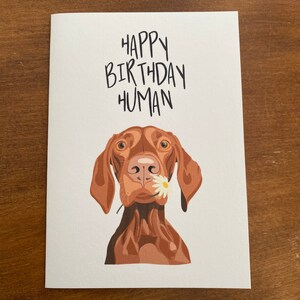 Carte d'anniversaire hongroise Vizsla - Happy Birthday Human - Fait main - A6 - Recyclable image 2