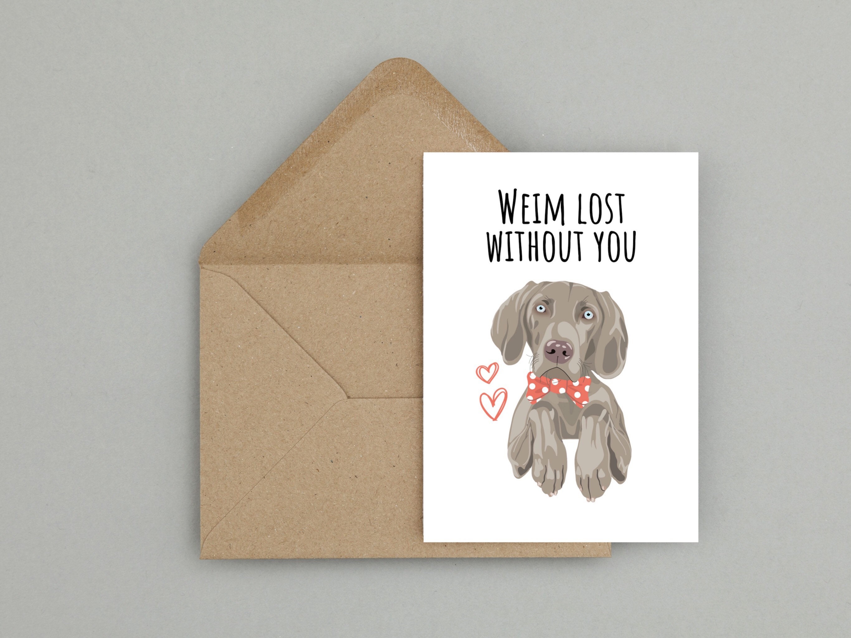 Lost weimaraner cheap