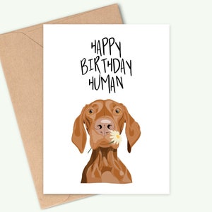 Hungarian Vizsla Birthday Card - Happy Birthday Human - Handmade - A6 - Recyclable