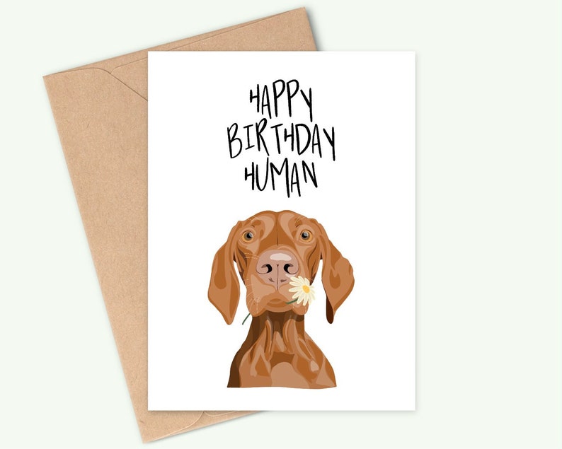 Carte d'anniversaire hongroise Vizsla - Happy Birthday Human - Fait main - A6 - Recyclable image 1