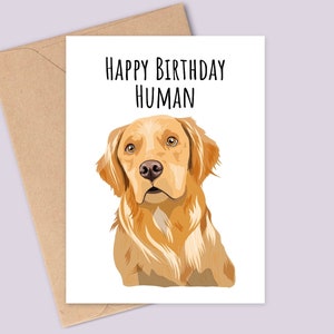 Divertida tarjeta de cumpleaños con un perro golden retriever. Feliz cumpleaños, humano. Por los años dorados. Impresa en cartulina texturizada. Acabado mate.