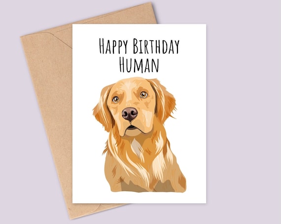 Funny Golden Retriever Dog Birthday Card Happy Birthday - Etsy