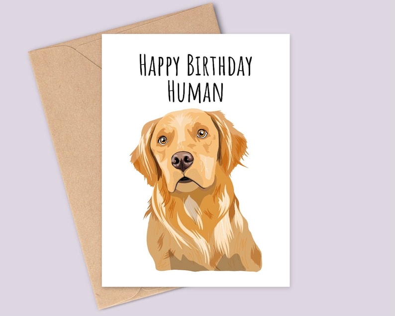 Carte d'anniversaire drôle de chien Golden Retriever - joyeux anniversaire humain - voici l'âge d'or - imprimée sur une carte texturée - finition mate image 1