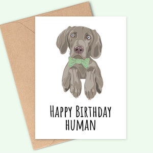 Happy Birthday Human - Weimaraner Birthday Card - Handmade - A6 - printed on matt, textured card - Recyclable