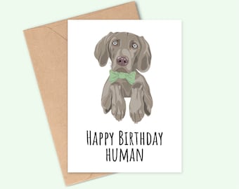 Joyeux anniversaire humain - carte d'anniversaire Braque de Weimar - faite main - A6 - imprimée sur une carte mate et texturée - recyclable
