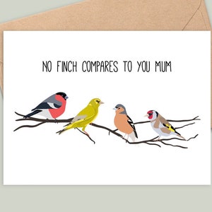Personalizado 'No Finch Compares To You' - Cartão de felicitações engraçado - Design colorido de pássaros britânicos - Feito à mão - A6 - Reciclável